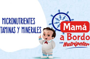 Micronutrientes Vitaminas y Minerales Micronutrientes Vitaminas y Minerales